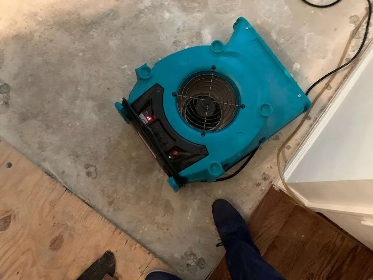 Air mover drying subfloor during Commercial Water Damage Restoration in Chehalis